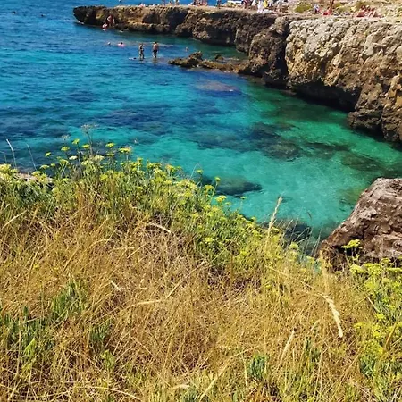 Casamare * Patù