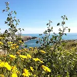 Casamare Daire Patù